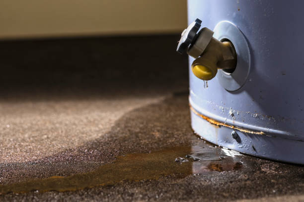 Best Emergency water damage restoration  in Ormond By The Sea, FL