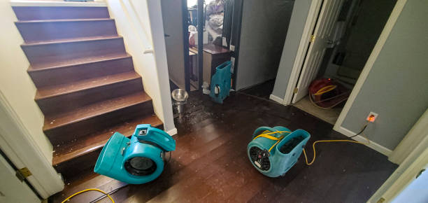 Local water damage restoration in Ormond By The Sea, FL