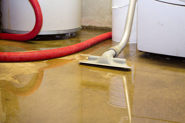 Best Basement water damage restoration  in Ormond By The Sea, FL